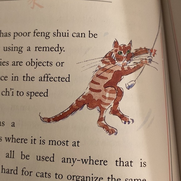 FENG SHUI FOR CATS by RONI JAY - Novelty Book GUC - Picture 9 of 9